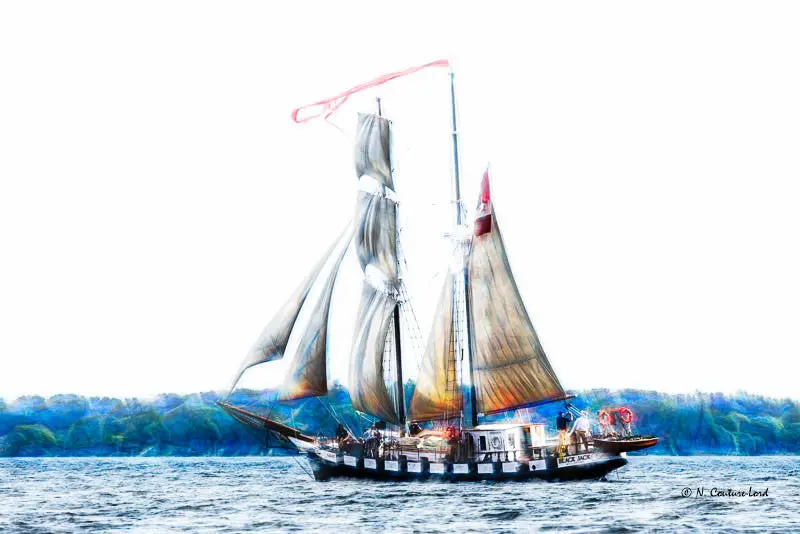 Tall Ship - Black Jack - Print 8 X 10 1