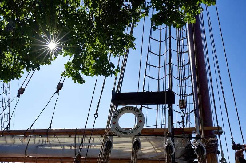 Tall Ship - Bluenose Ii - Print 8 X 10 1