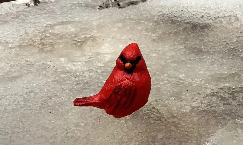Teenytiny Baby Cardinal Statue Collection 1