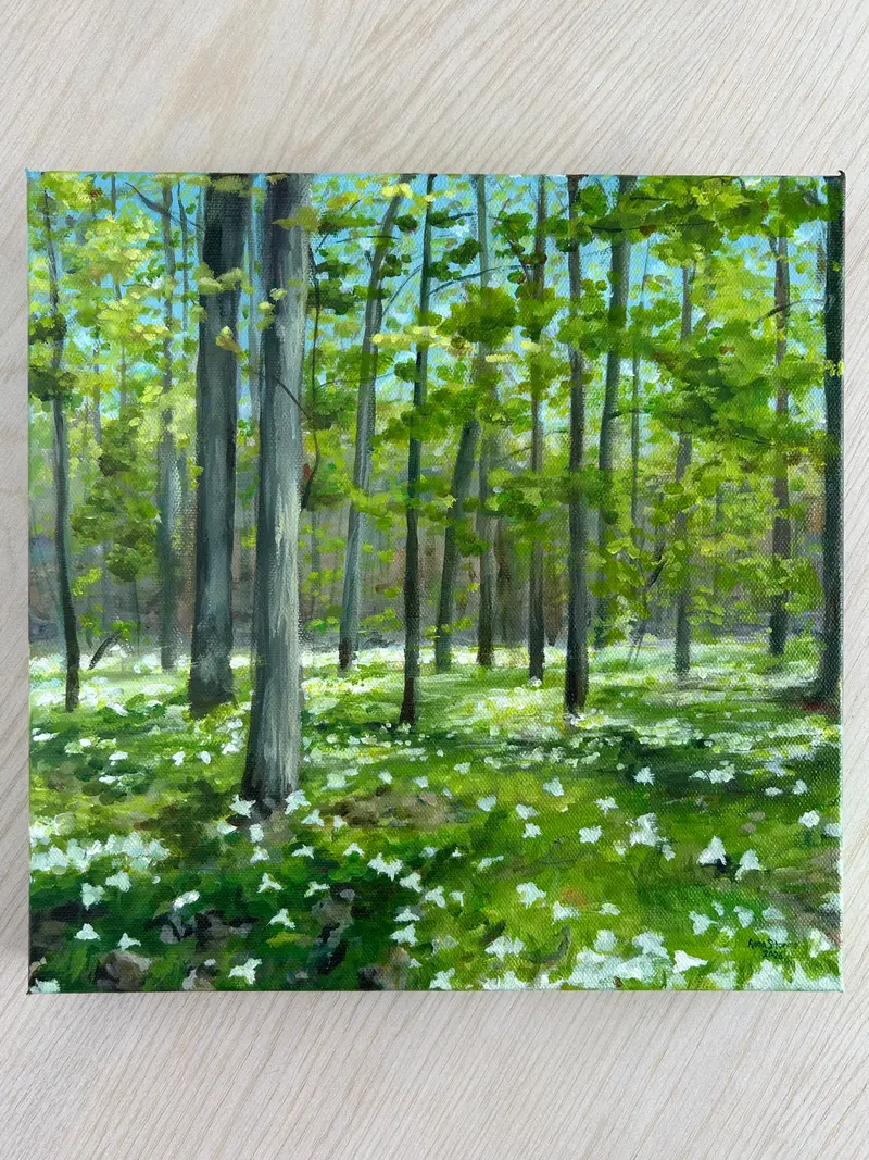 Trilliums At Lemoine Point 1