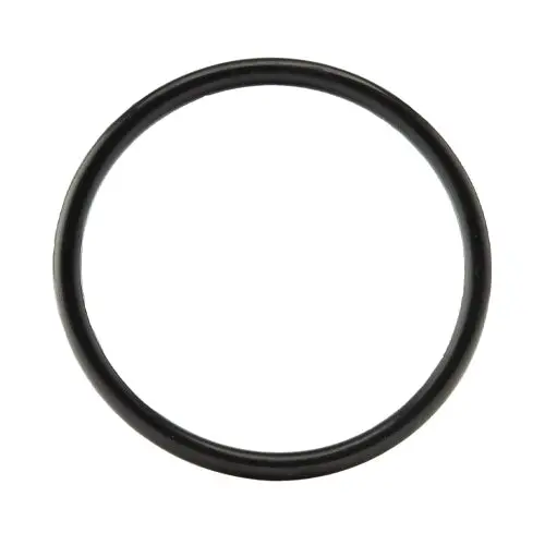 Vp Racing Fuel Jug Cap Seal 1