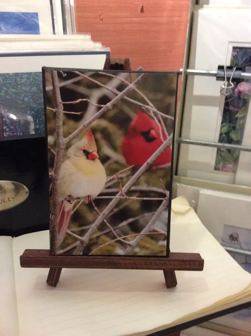 Winter Cardinals - 5X7 Canvas Print On Easel 1