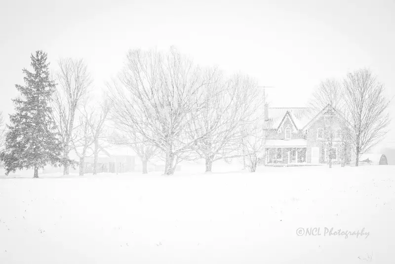 Winter Scene - Print 12 X 8 Inches 1