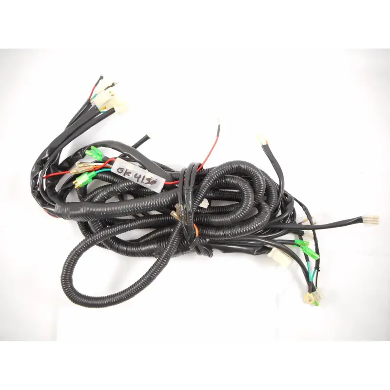 Wire Harness (4Fun 150) 1