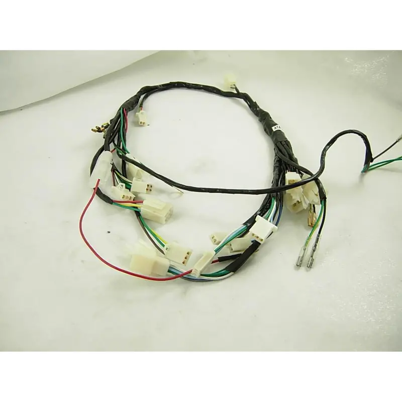 Wire Harness  (Ata 125 F1) 1