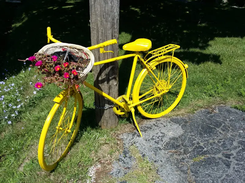 Yellow Bicycle - 8X10 Print 1